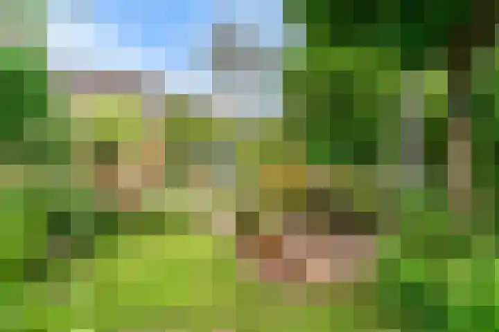 Dr. Julius Röntgenlaan 21 Bilthoven thumbnail 45