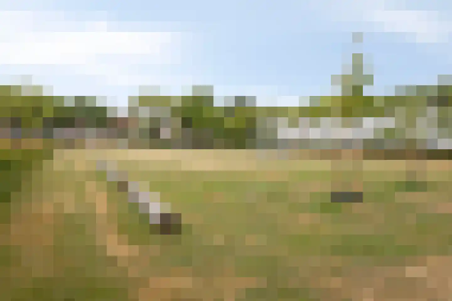 Dr. Klompélaan 4 Helmond thumbnail 32