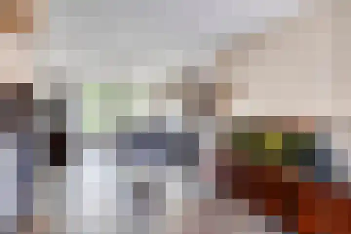 Dr. Knippenberghof 12 Helmond thumbnail 15