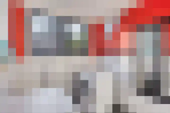 Dr. Knippenberghof 12 Helmond thumbnail 30
