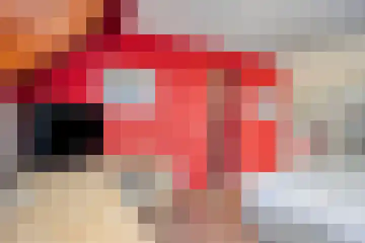 Dr. Knippenberghof 12 Helmond thumbnail 35