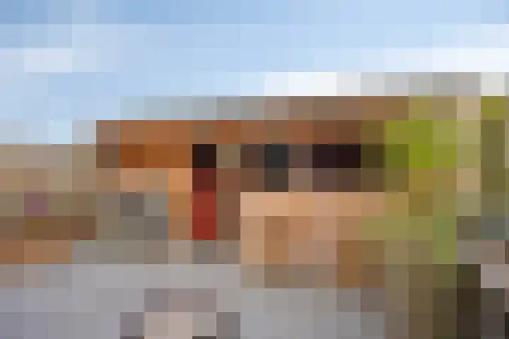 Dr. Knippenberghof 12 Helmond thumbnail 36