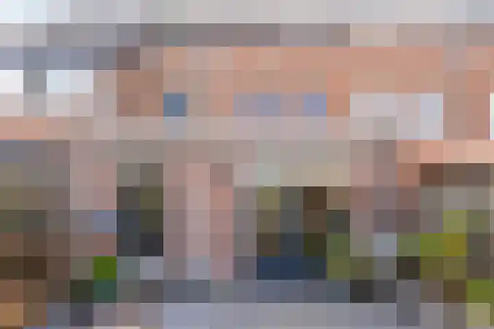 Dr. Knippenberghof 12 Helmond thumbnail 39