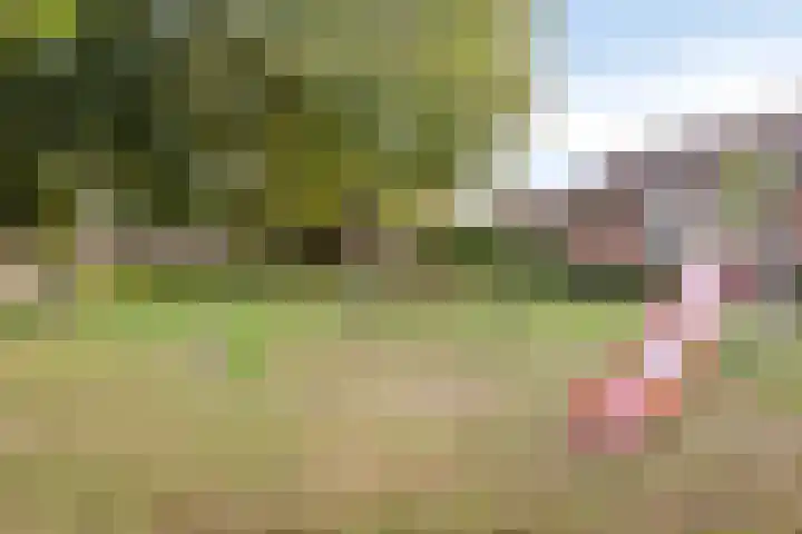 Dr. Knippenberghof 12 Helmond thumbnail 43