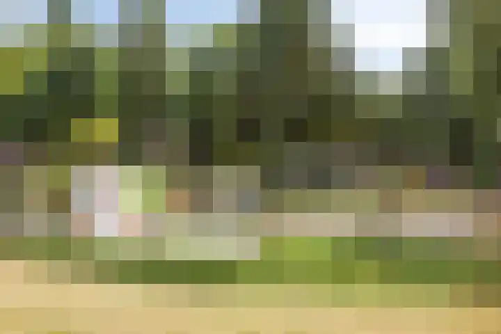 Dr. Knippenberghof 12 Helmond thumbnail 45