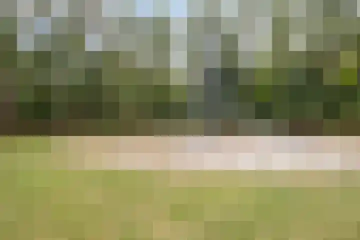 Dr. Knippenberghof 12 Helmond thumbnail 46