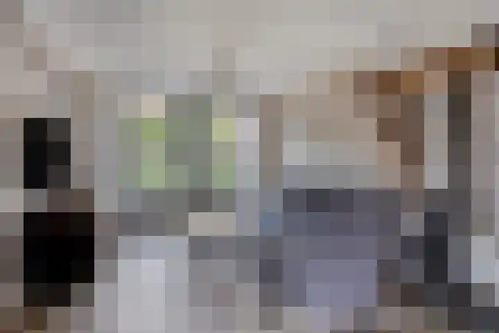 Dr. Knippenberghof 12 Helmond thumbnail 7