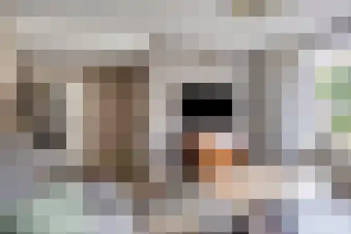 Dr. Knippenberghof 12 Helmond thumbnail 8