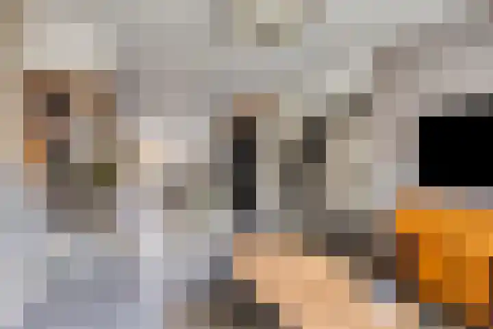 Dr. Knippenberghof 12 Helmond thumbnail 9