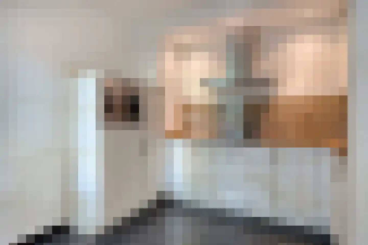 Dr. Knippenberghof 2 Helmond thumbnail 19
