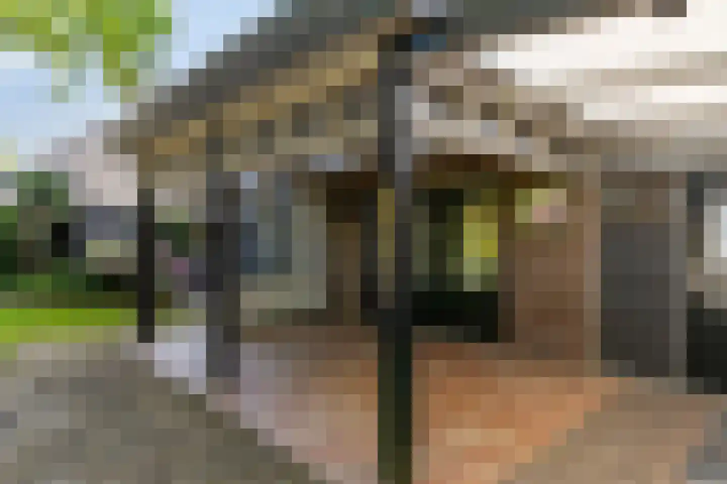 Dr. Knippenberghof 2 Helmond thumbnail 30