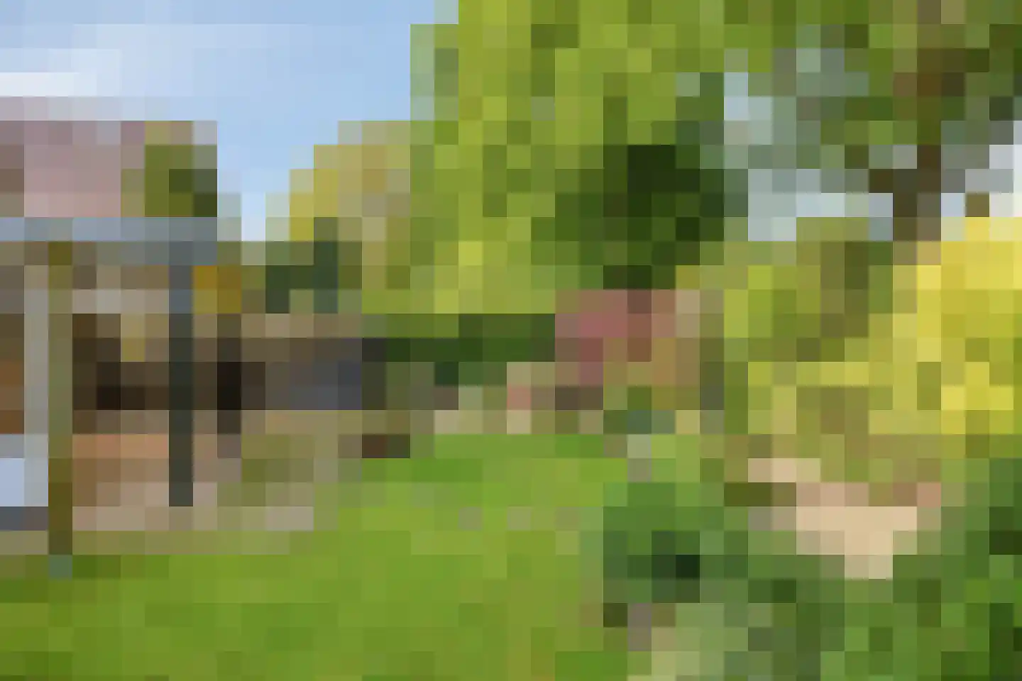 Dr. Knippenberghof 2 Helmond thumbnail 33