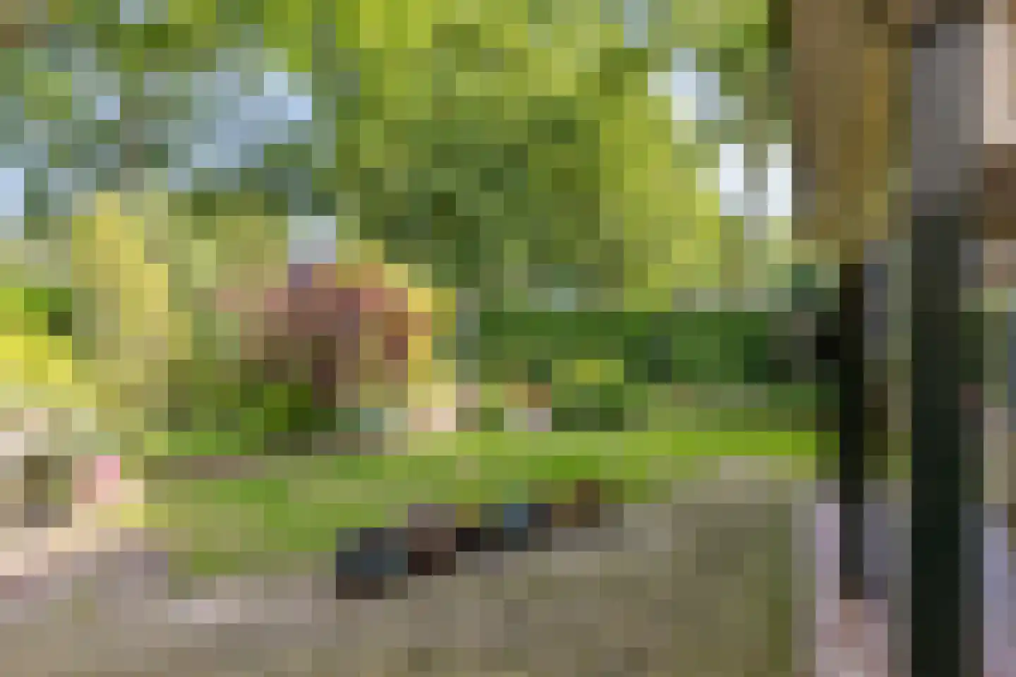 Dr. Knippenberghof 2 Helmond thumbnail 34