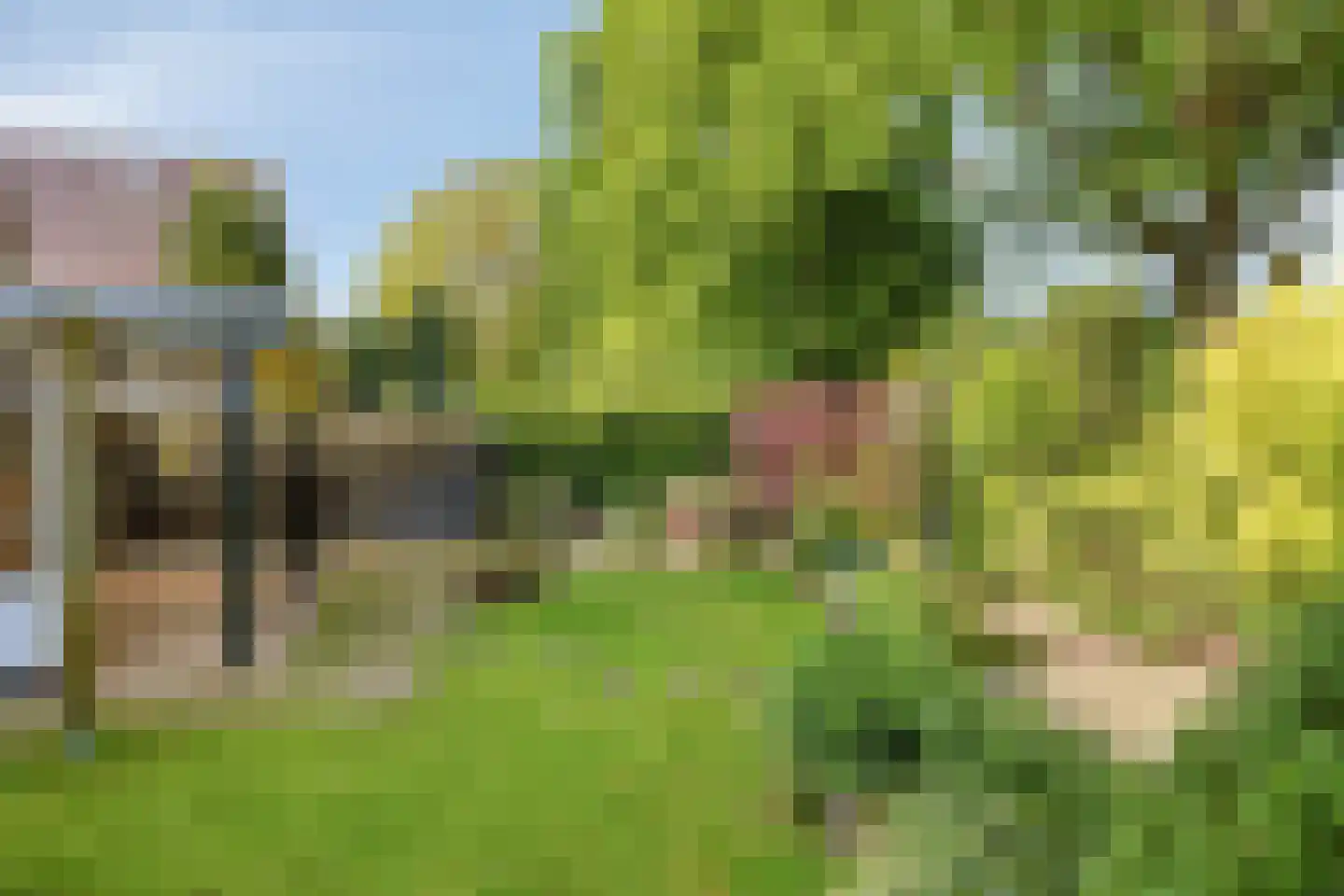 Dr. Knippenberghof 2 Helmond thumbnail 34