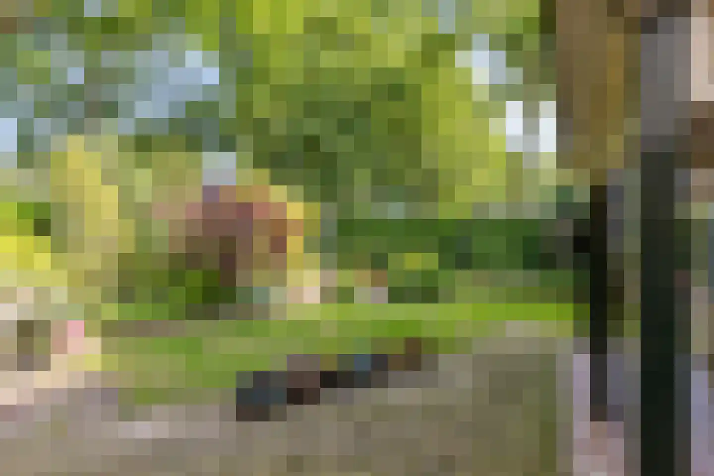 Dr. Knippenberghof 2 Helmond thumbnail 35