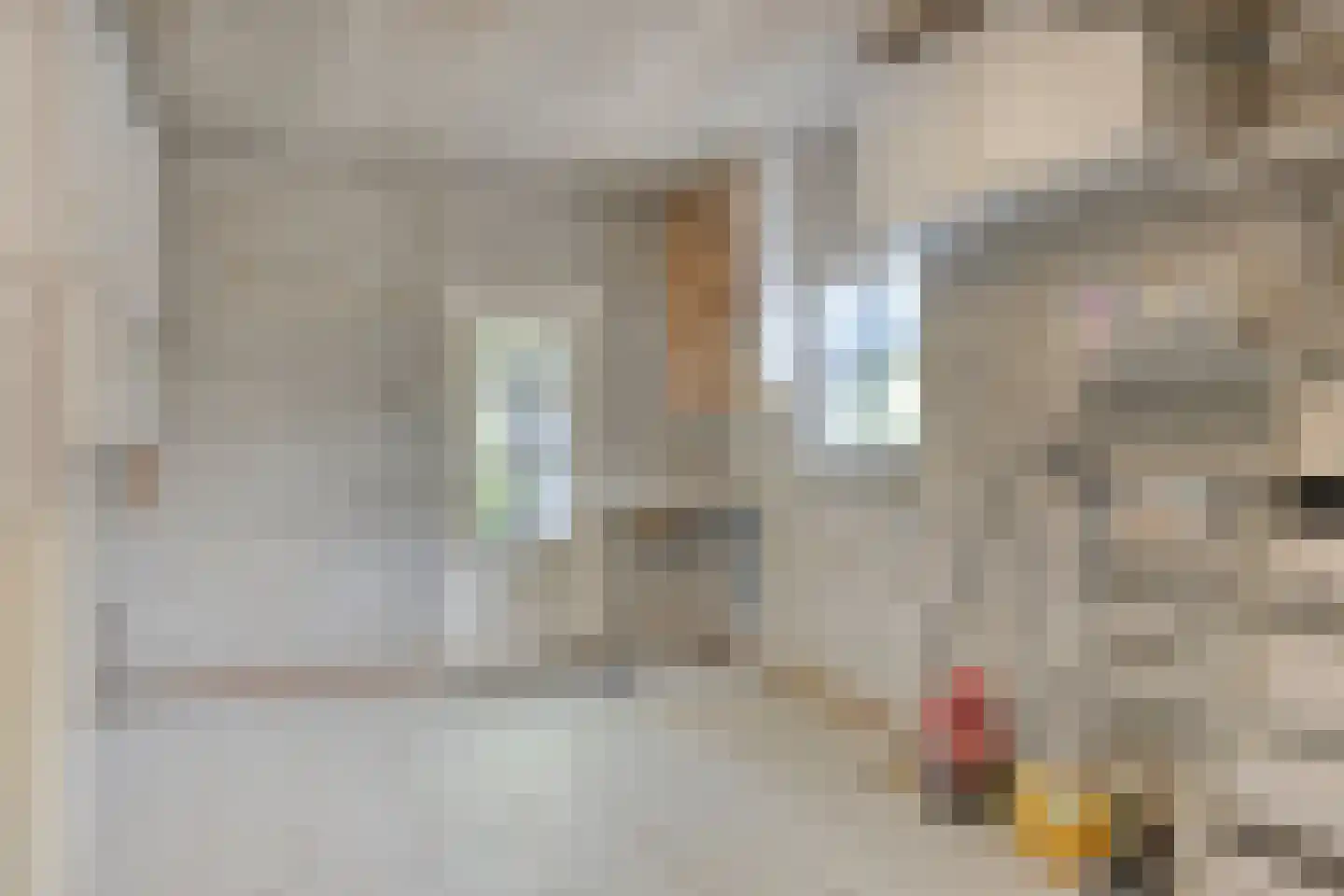 Dr. Knippenberghof 2 Helmond thumbnail 37