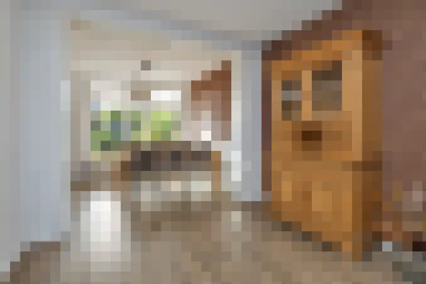 Dr. Knippenberghof 48 Helmond thumbnail 15
