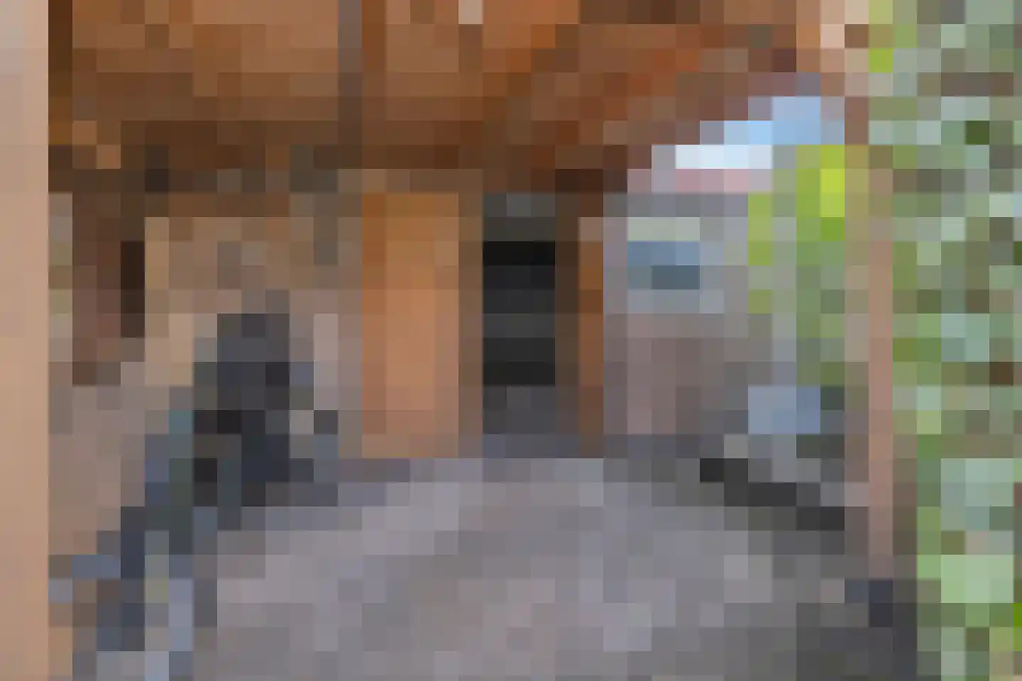 Dr. Knippenberghof 48 Helmond thumbnail 45