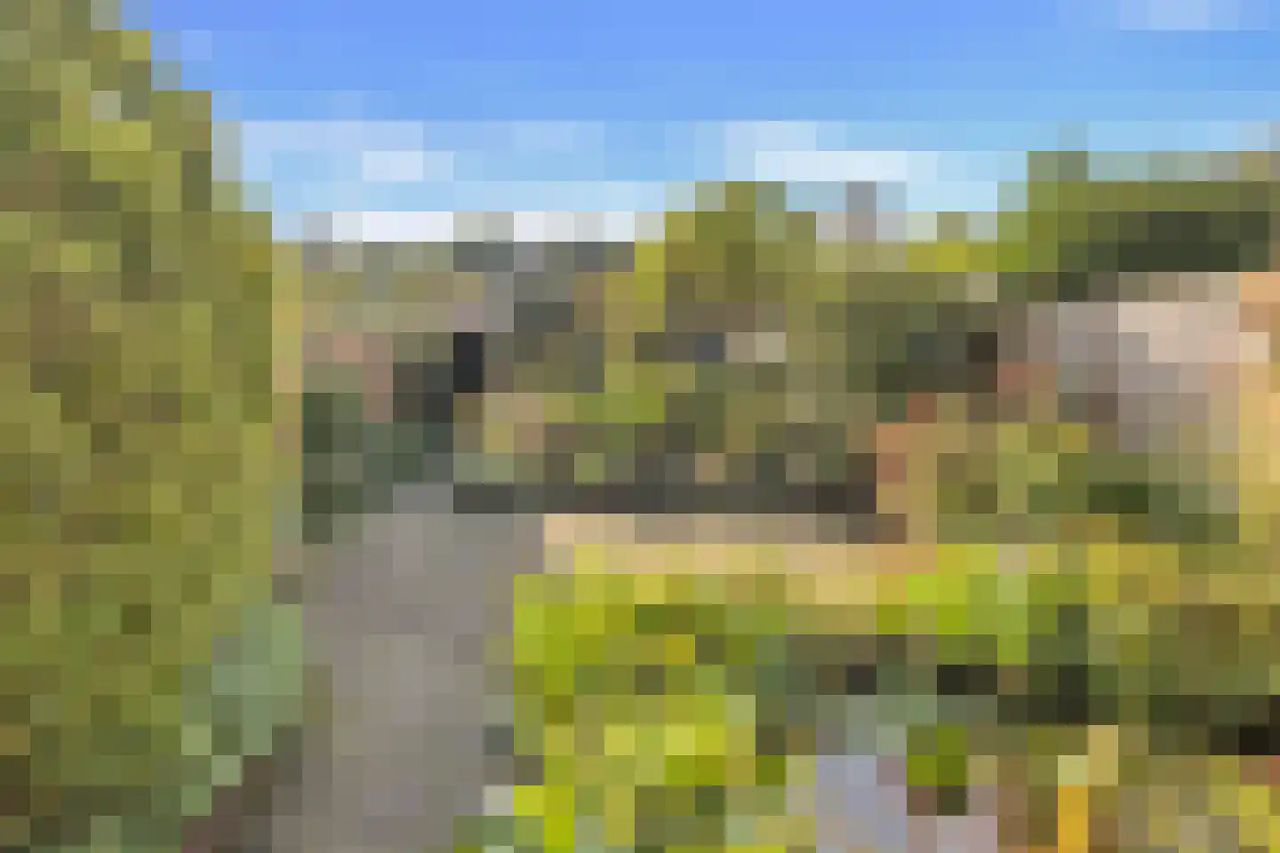 Dr. Knippenberghof 48 Helmond thumbnail 6