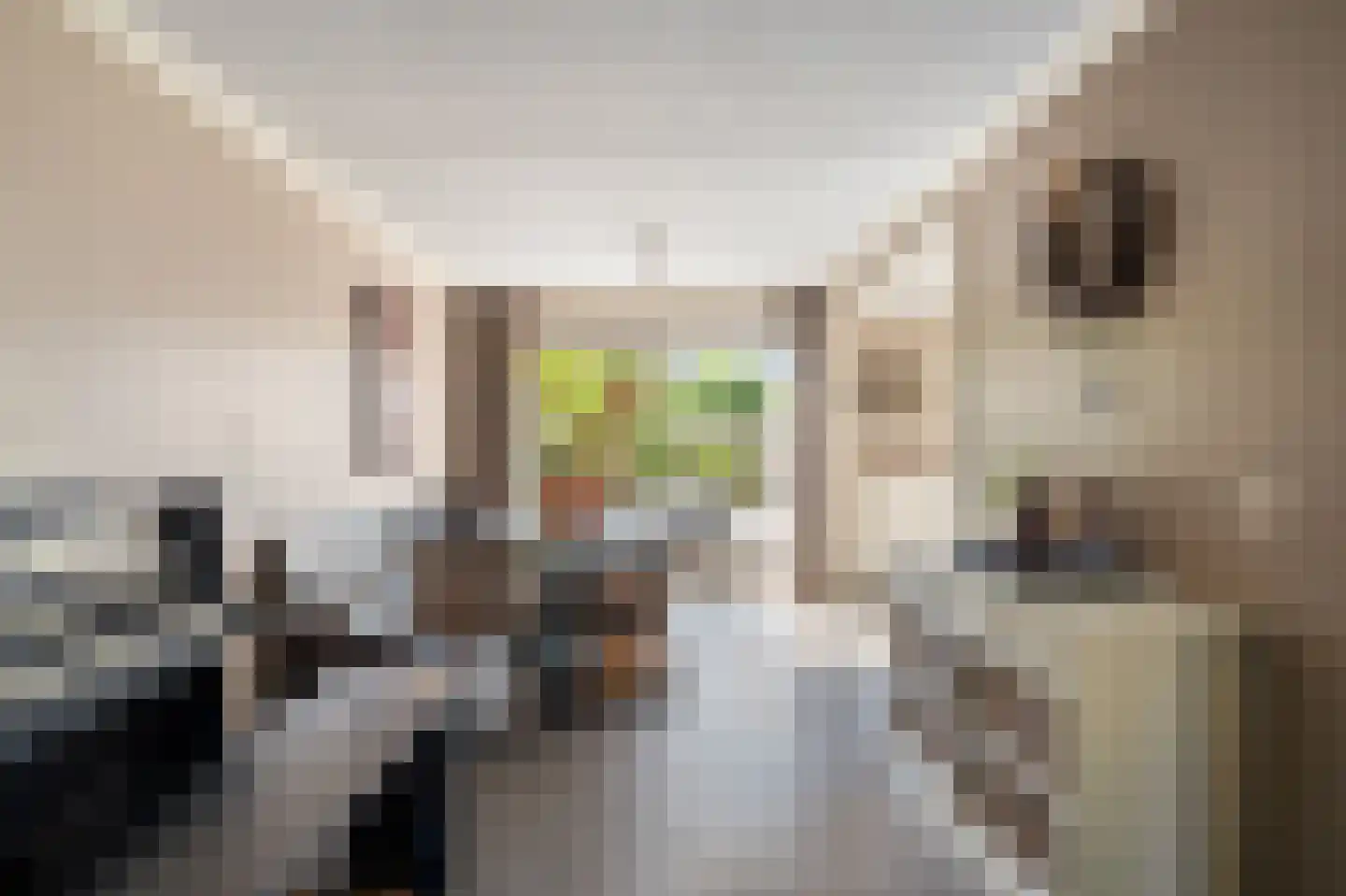 Dr. Kolfflaan 26 Kampen thumbnail 15