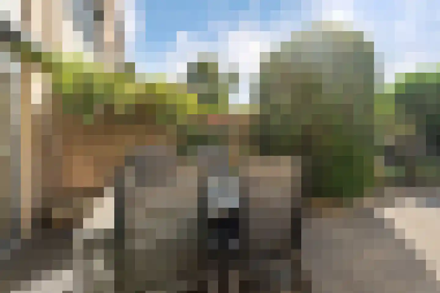 Dr. Kolfflaan 26 Kampen thumbnail 32