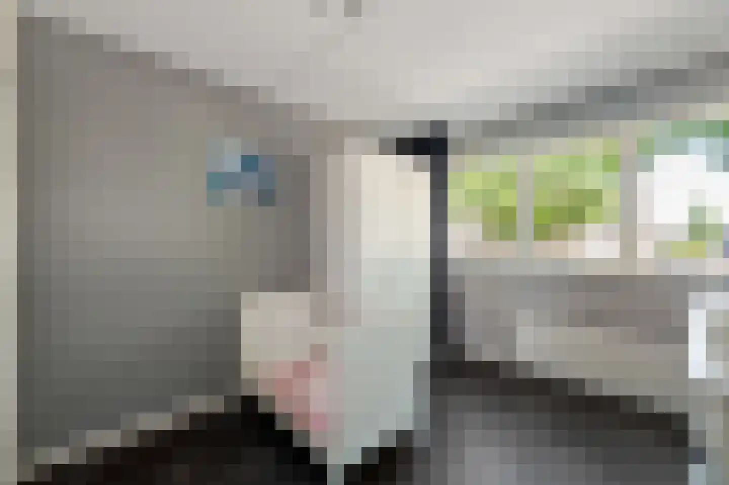 Dr. Kolfflaan 26 Kampen thumbnail 44