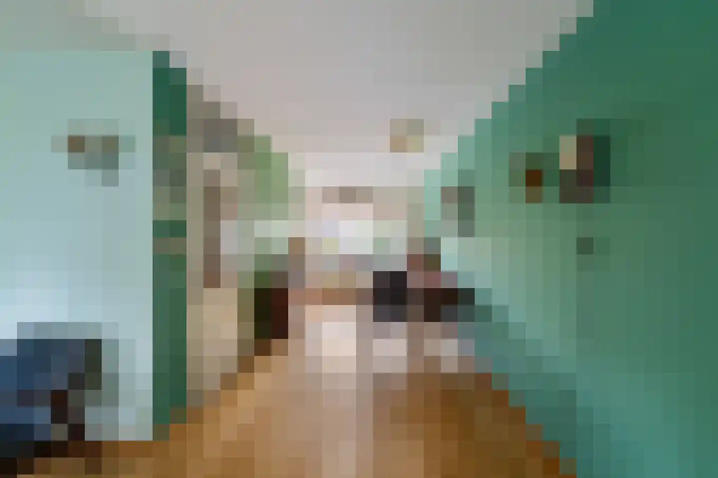 Dr. Kolfflaan 39 Kampen thumbnail 22