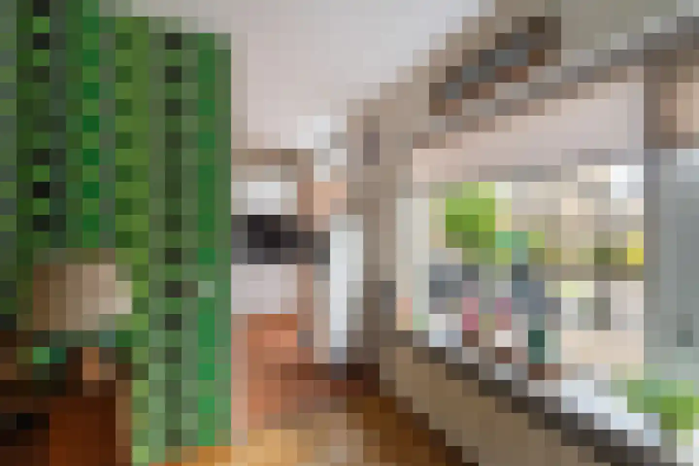 Dr. Kolfflaan 39 Kampen thumbnail 23