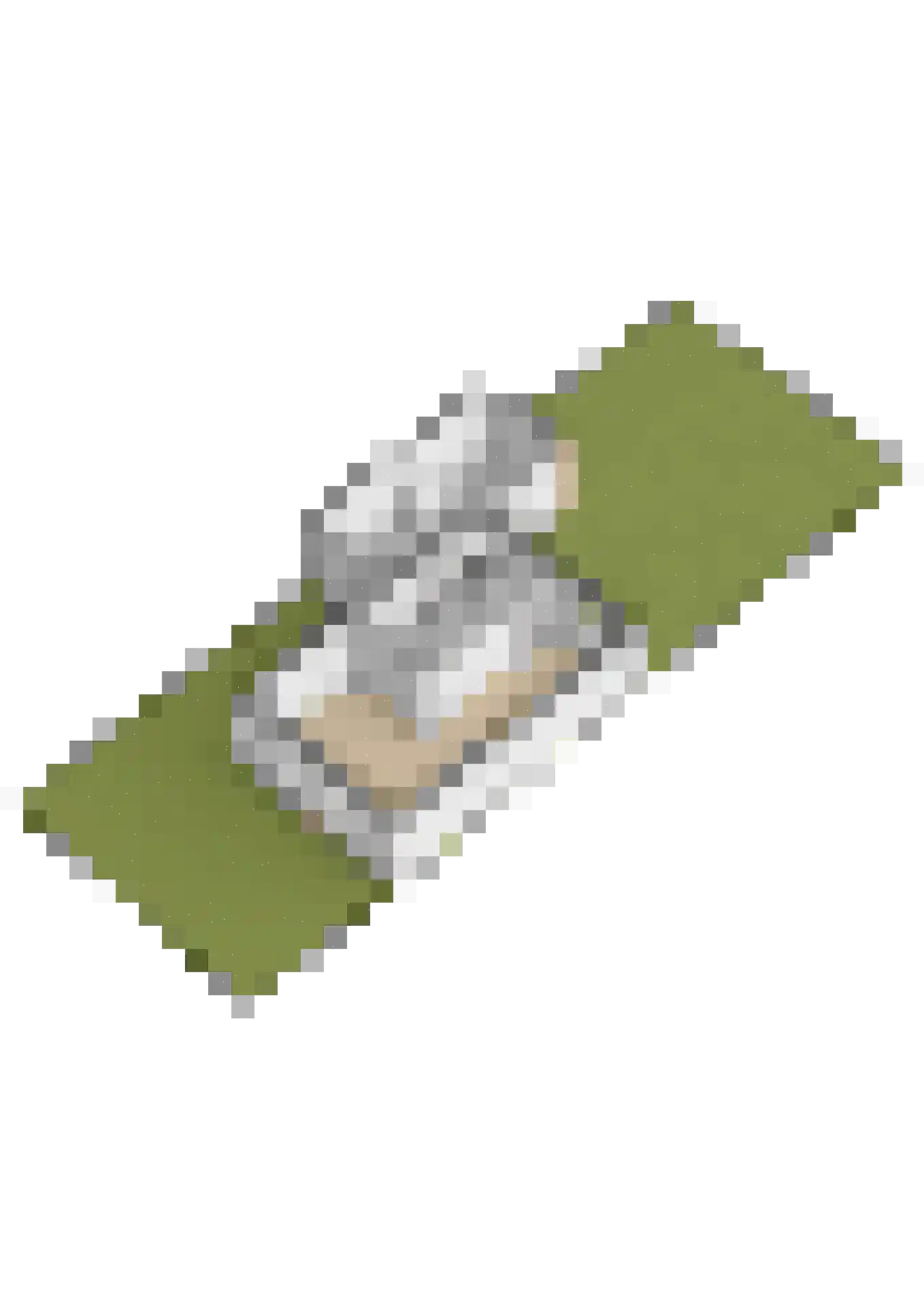 Dr. Kolfflaan 39 Kampen thumbnail 60