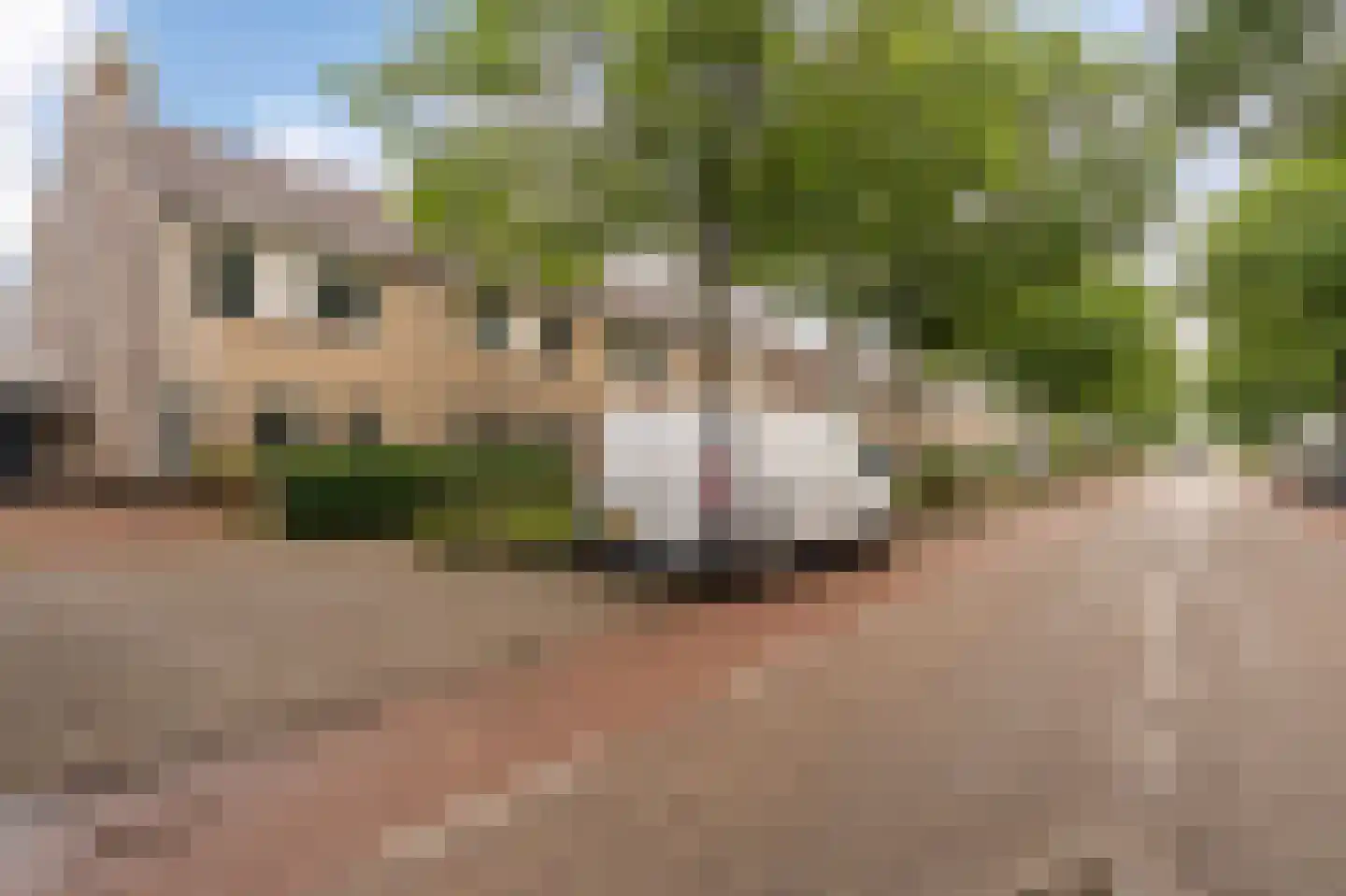Dr. Kolfflaan 39 Kampen thumbnail 8