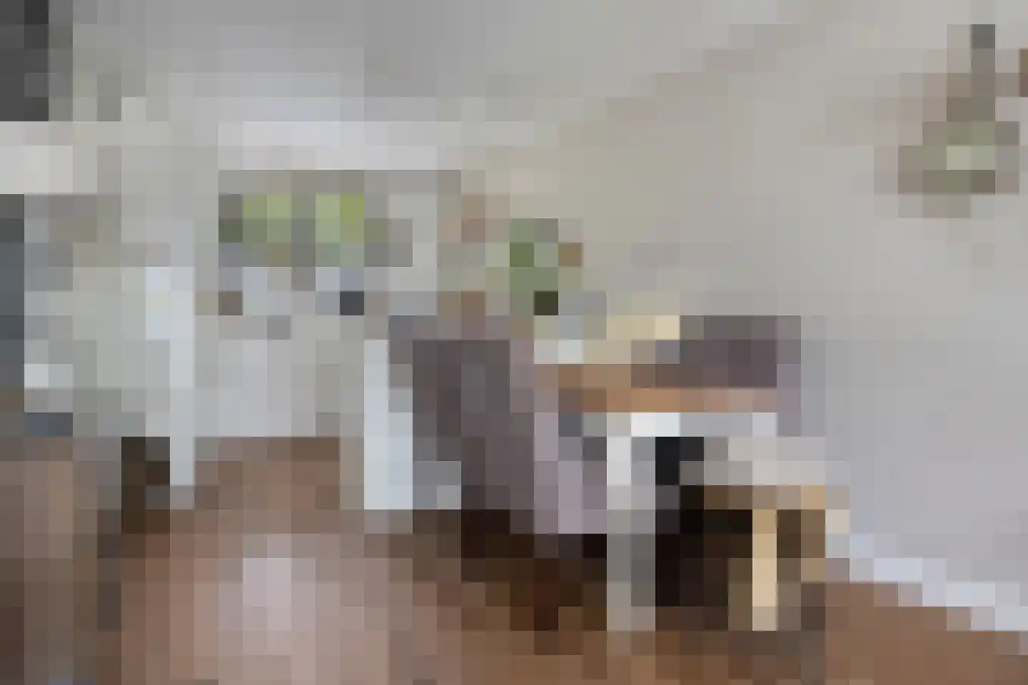 Dr. Kolfflaan 70 Kampen thumbnail 12