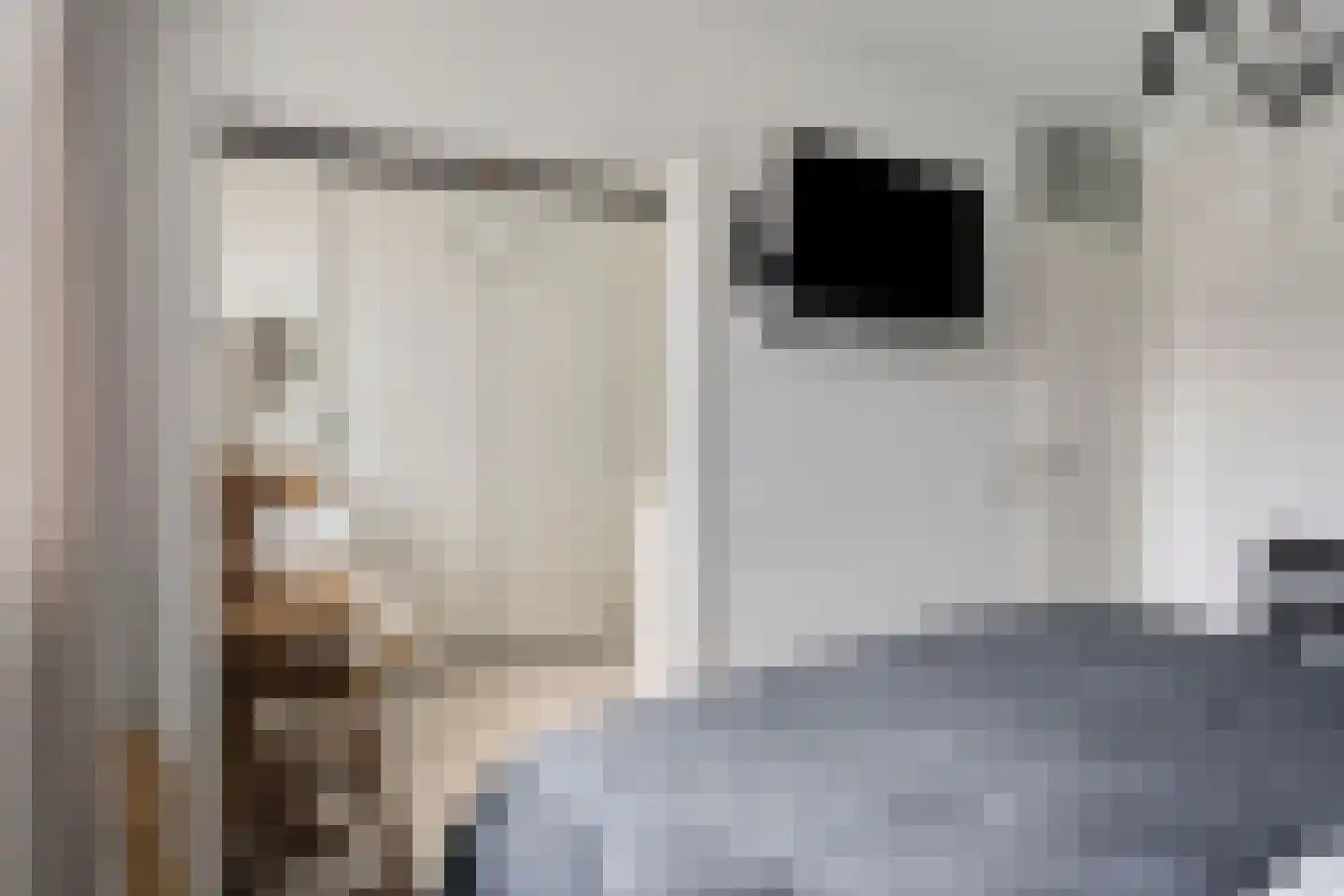 Dr. Kolfflaan 70 Kampen thumbnail 17