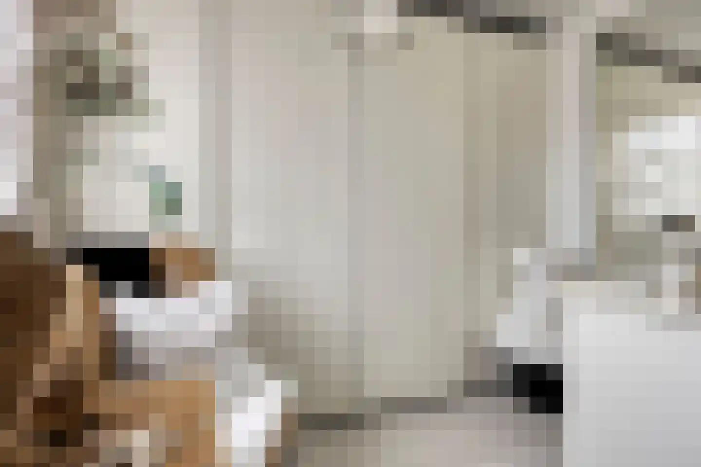 Dr. Kolfflaan 70 Kampen thumbnail 18