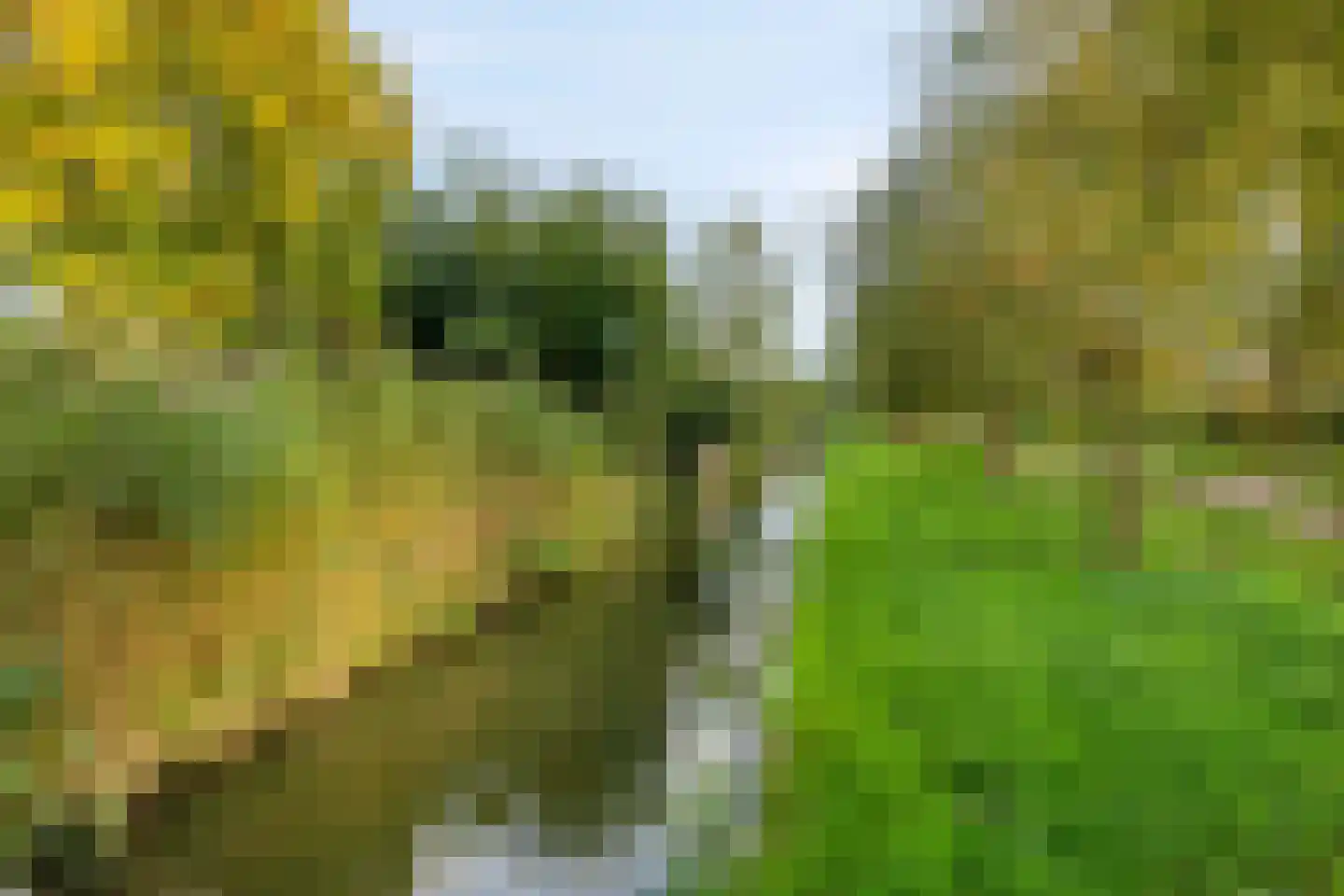 Dr. Kolfflaan 70 Kampen thumbnail 37