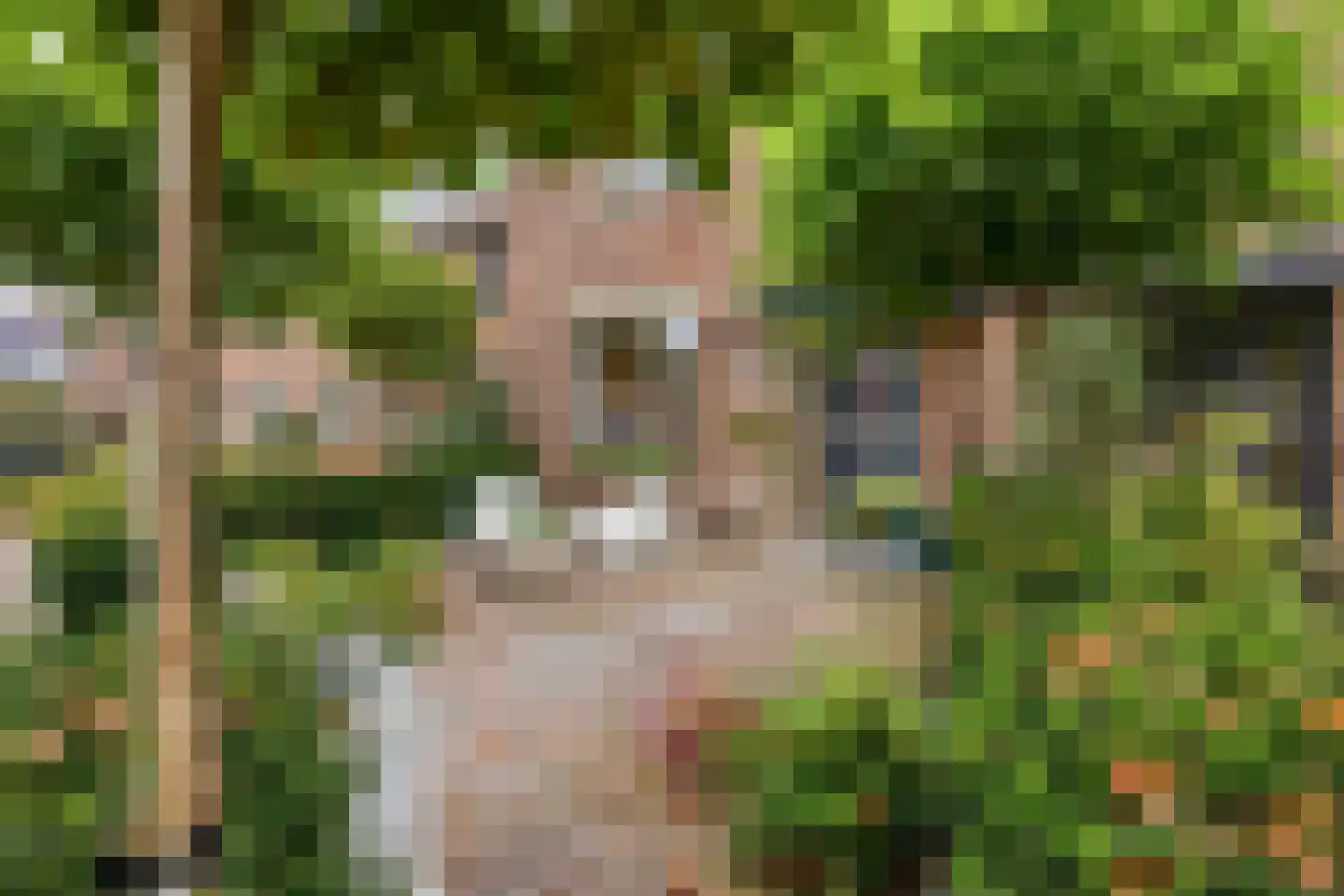 Dr. Kolfflaan 70 Kampen thumbnail 5