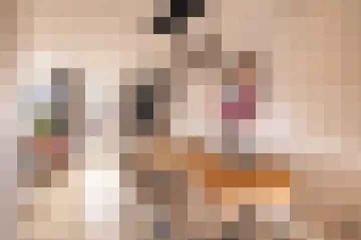 Dr. Kolfflaan 88 Kampen thumbnail 10