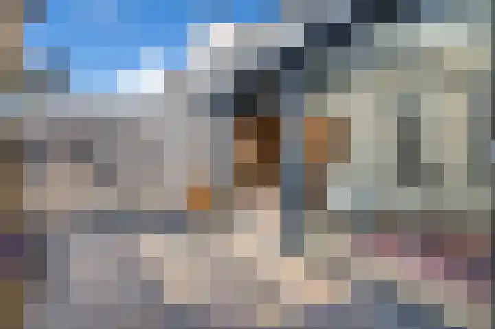 Dr. Kolfflaan 88 Kampen thumbnail 35