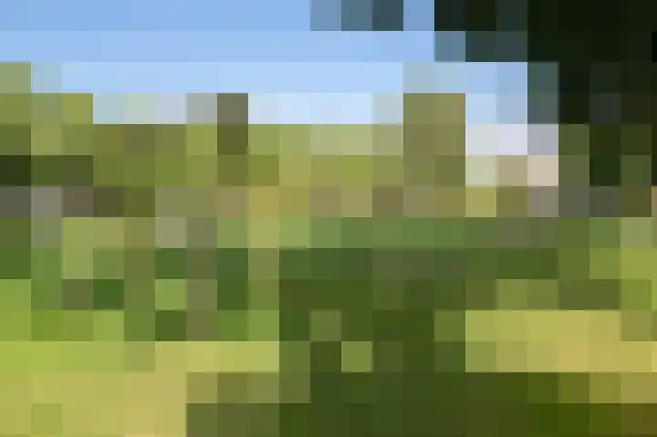 Dr. Kolfflaan 88 Kampen thumbnail 44