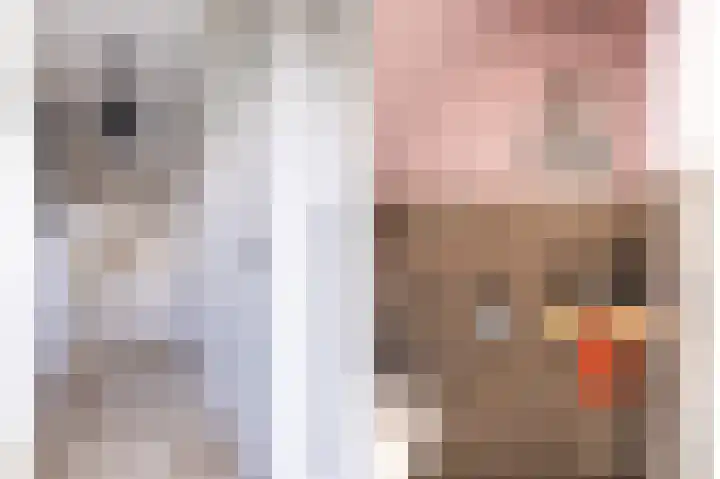 Dr. Kolfflaan 88 Kampen thumbnail 5