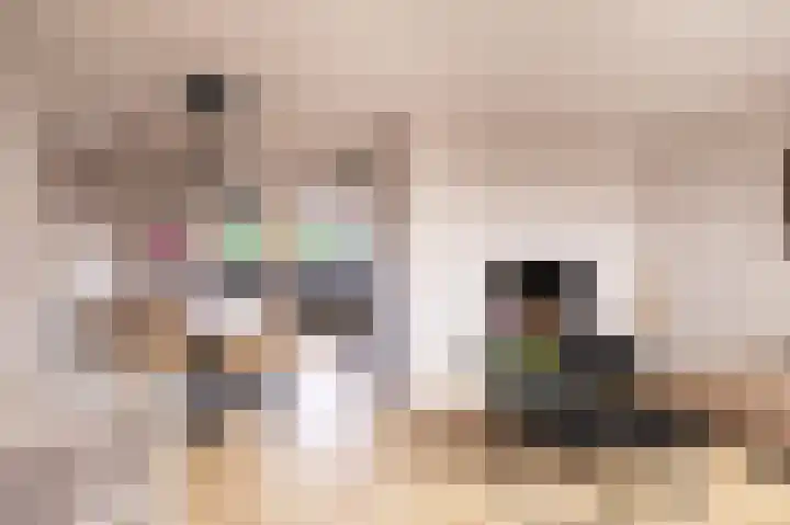 Dr. Kolfflaan 88 Kampen thumbnail 7