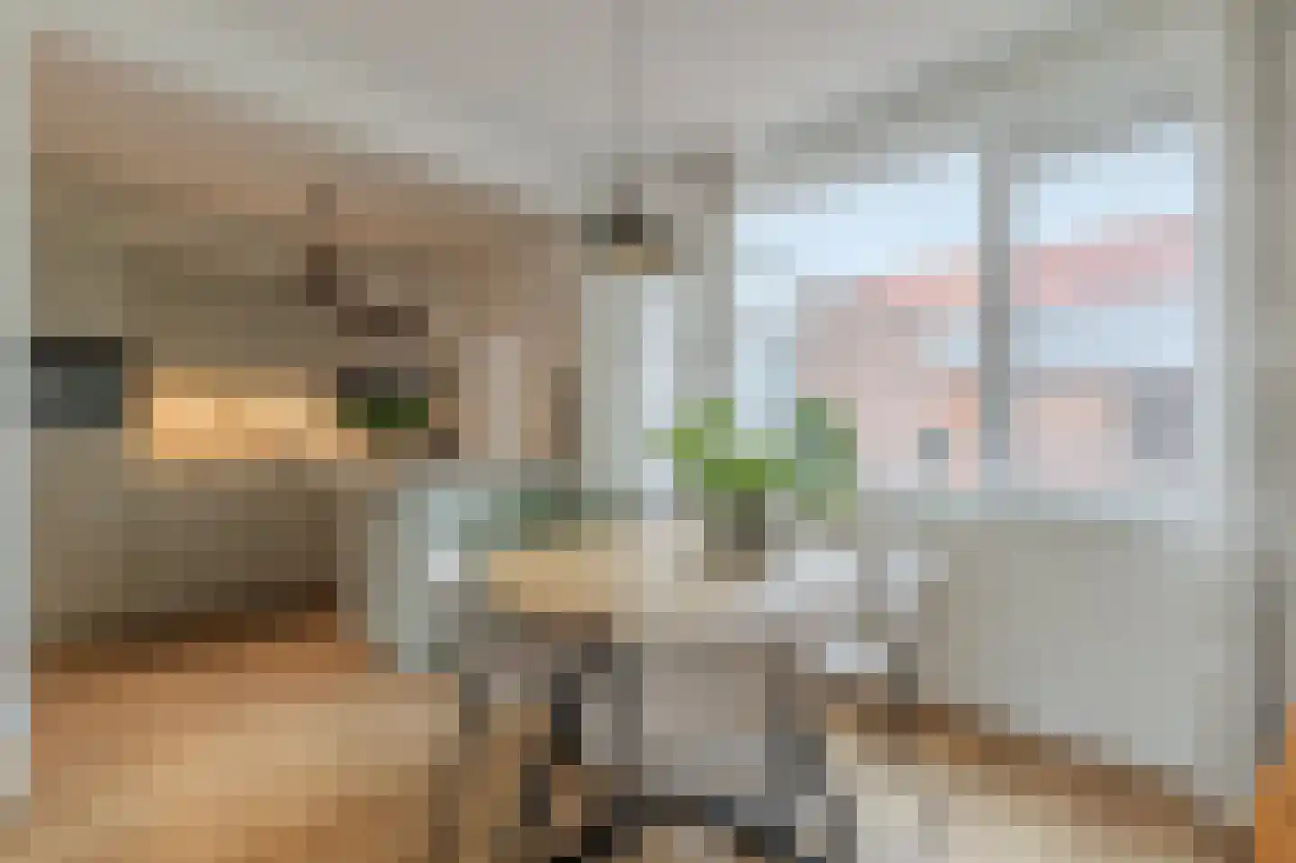 Dr. Koppiusstraat 16 Ter Apel thumbnail 17