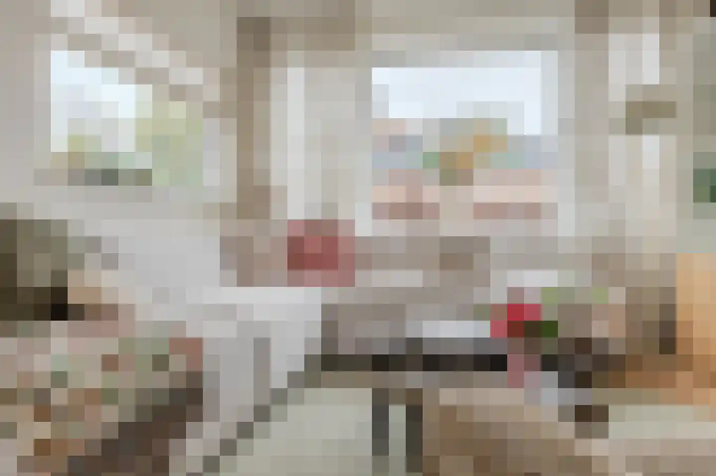 Dr. Koppiusstraat 16 Ter Apel thumbnail 19