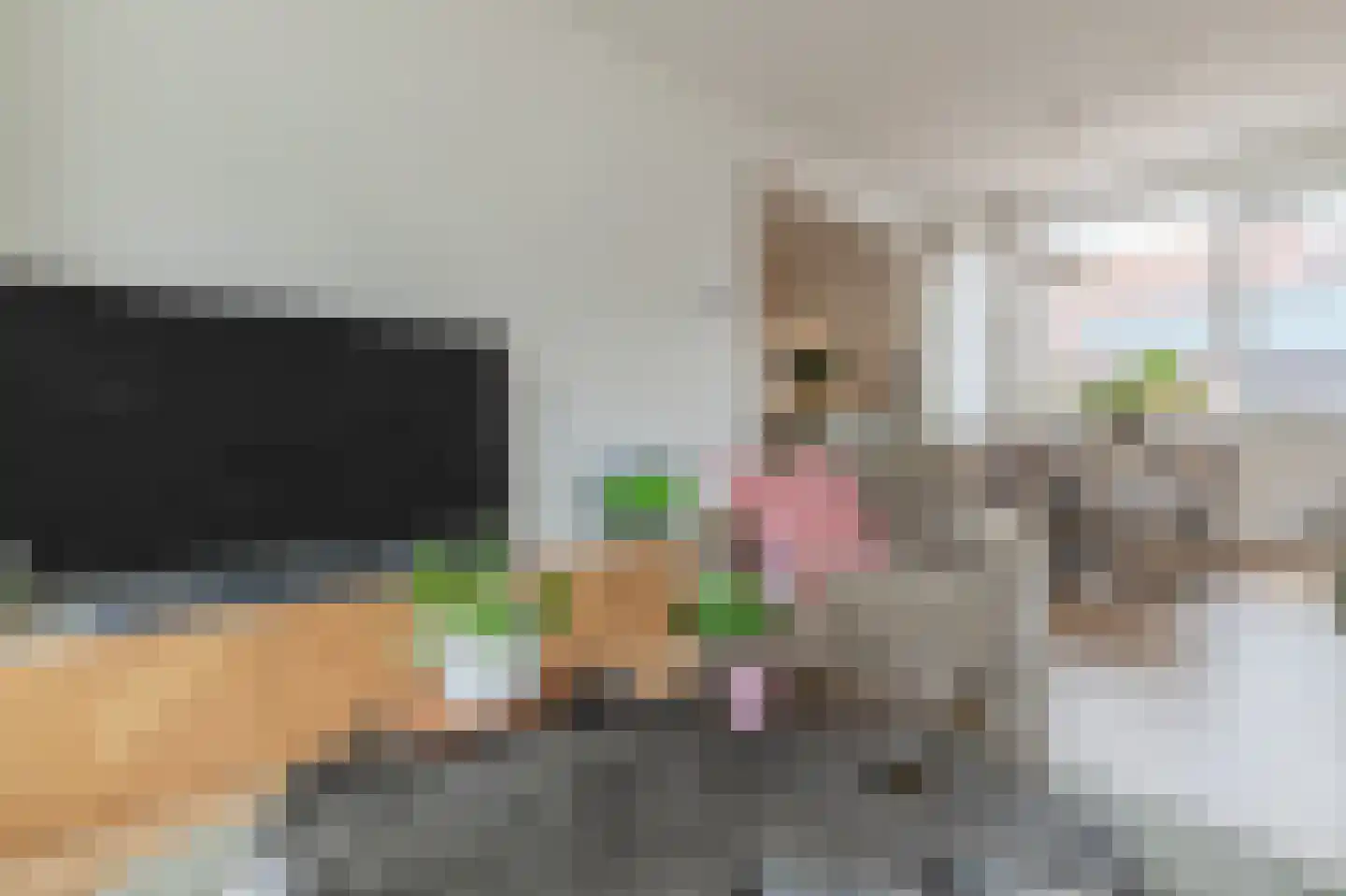 Dr. Koppiusstraat 16 Ter Apel thumbnail 20