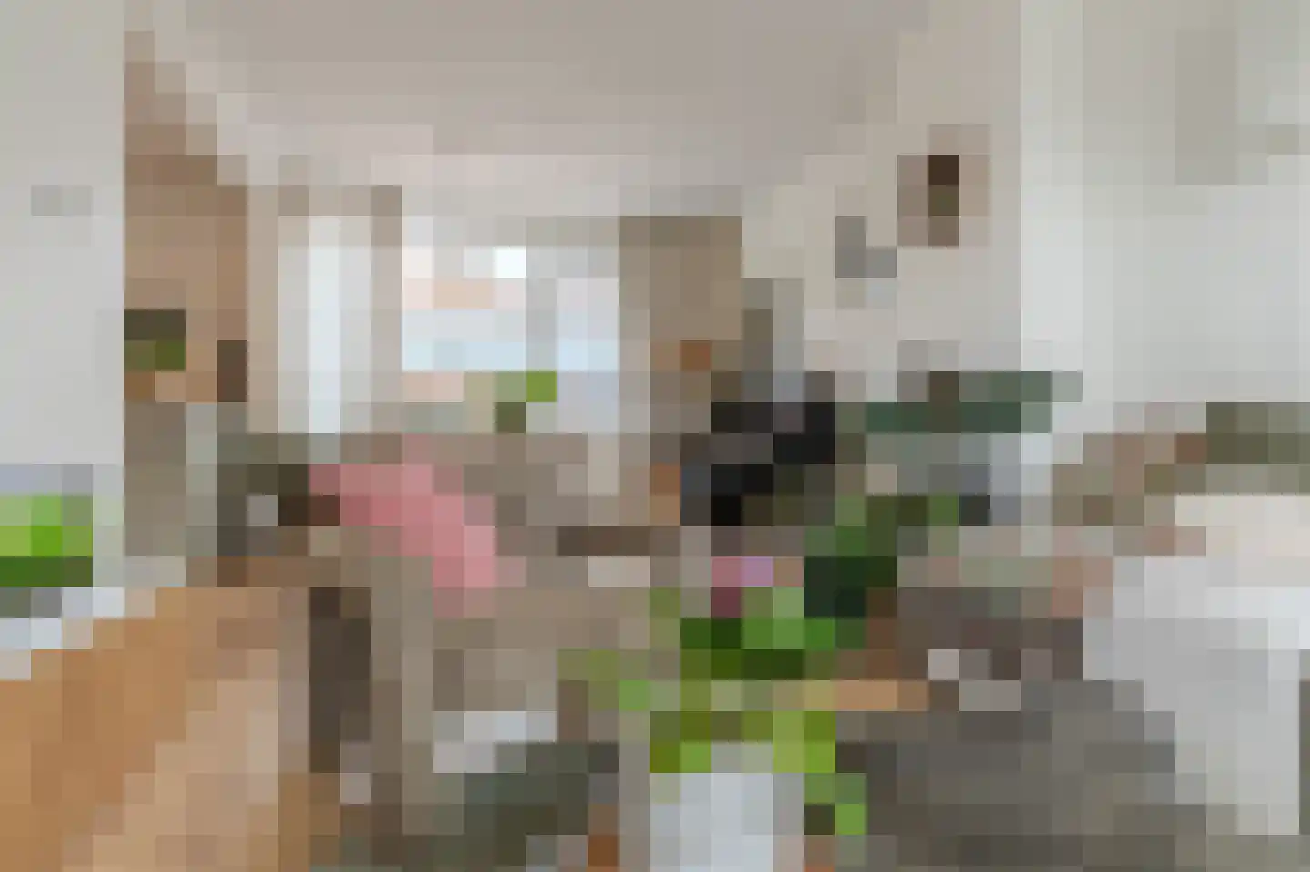 Dr. Koppiusstraat 16 Ter Apel thumbnail 21