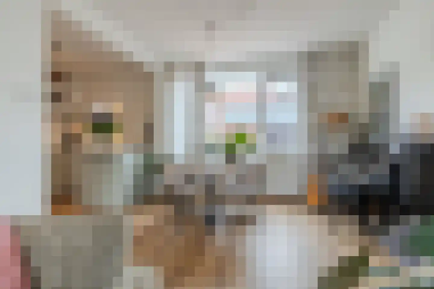 Dr. Koppiusstraat 16 Ter Apel thumbnail 22