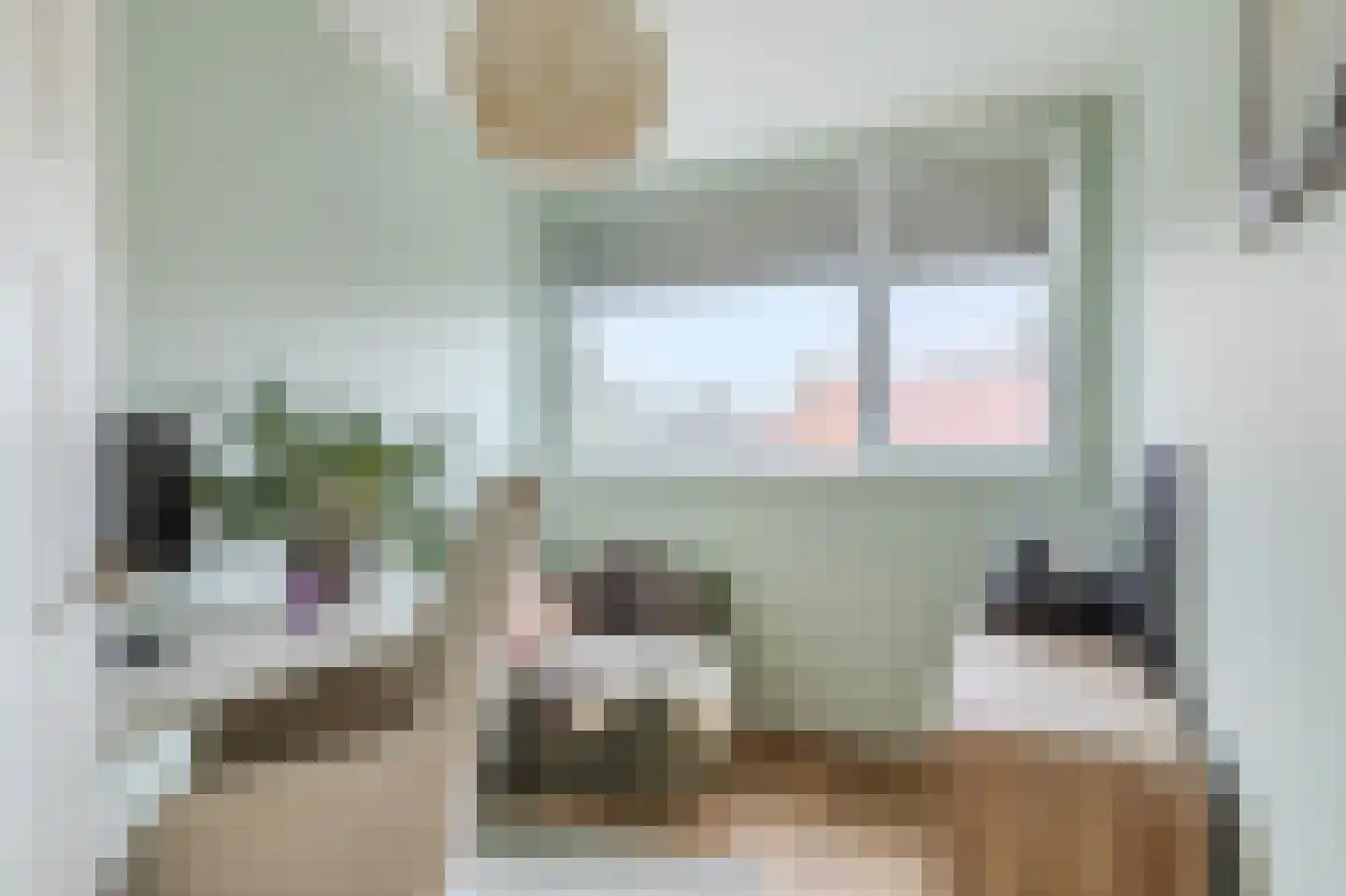 Dr. Koppiusstraat 16 Ter Apel thumbnail 23