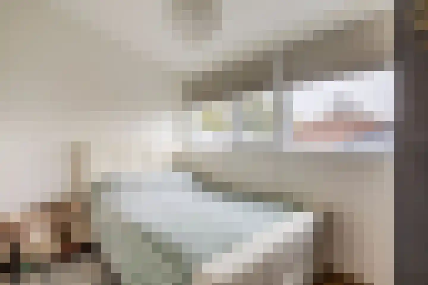 Dr. Koppiusstraat 16 Ter Apel thumbnail 27