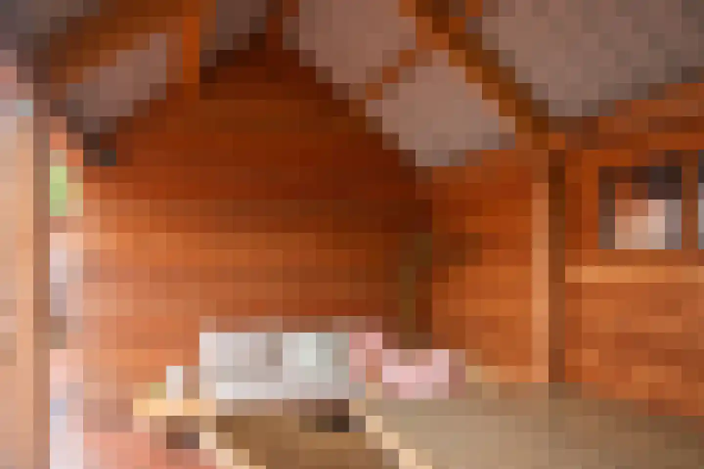 Dr. Koppiusstraat 16 Ter Apel thumbnail 31