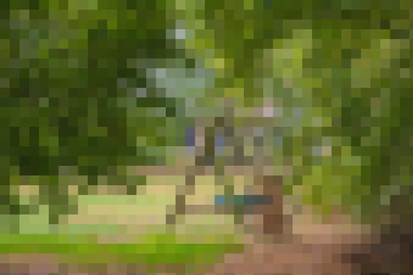 Dr. Koppiusstraat 16 Ter Apel thumbnail 36