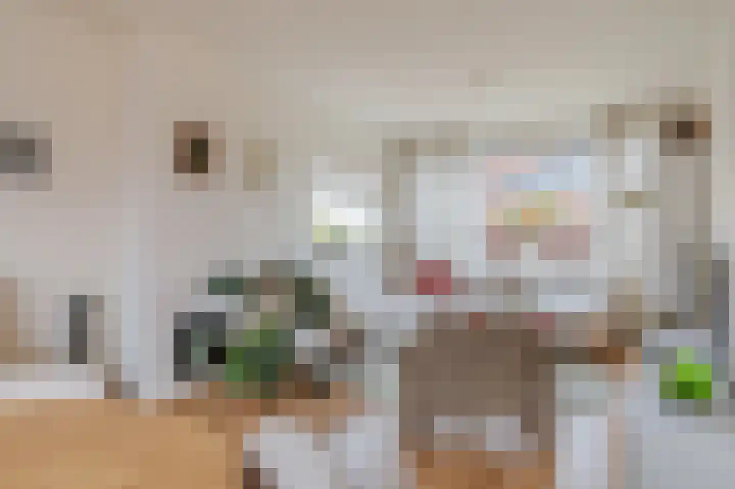 Dr. Koppiusstraat 16 Ter Apel thumbnail 5